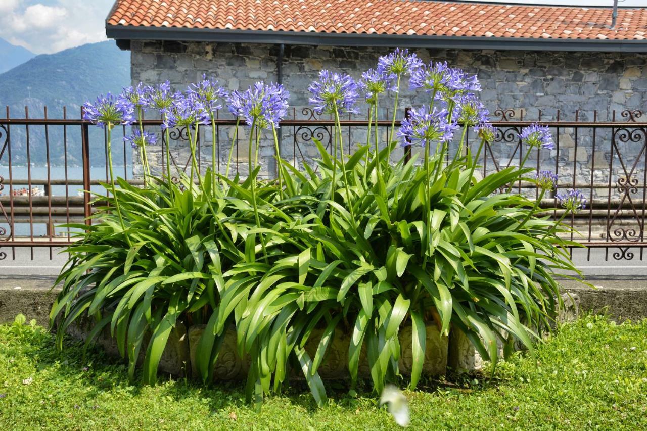 Casa Giardino Fiorito Lägenhet San Siro  Exteriör bild