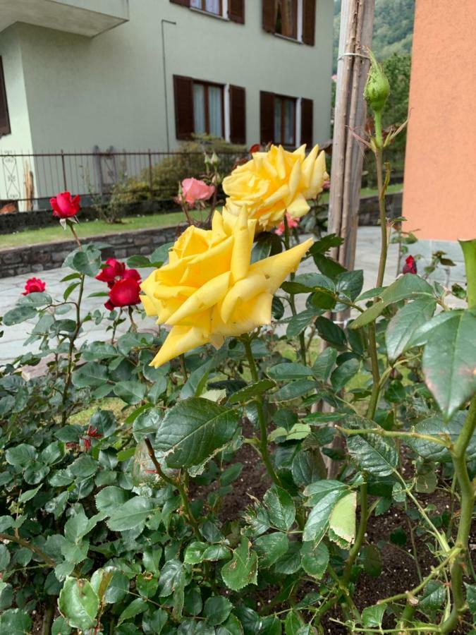 Casa Giardino Fiorito Lägenhet San Siro  Exteriör bild